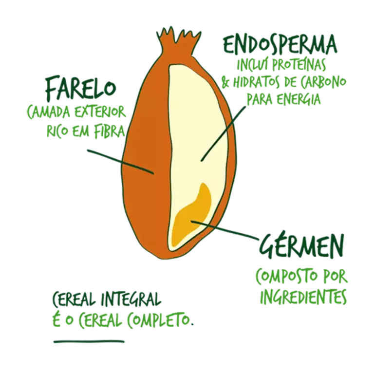 article_whole_grain_story_illustration