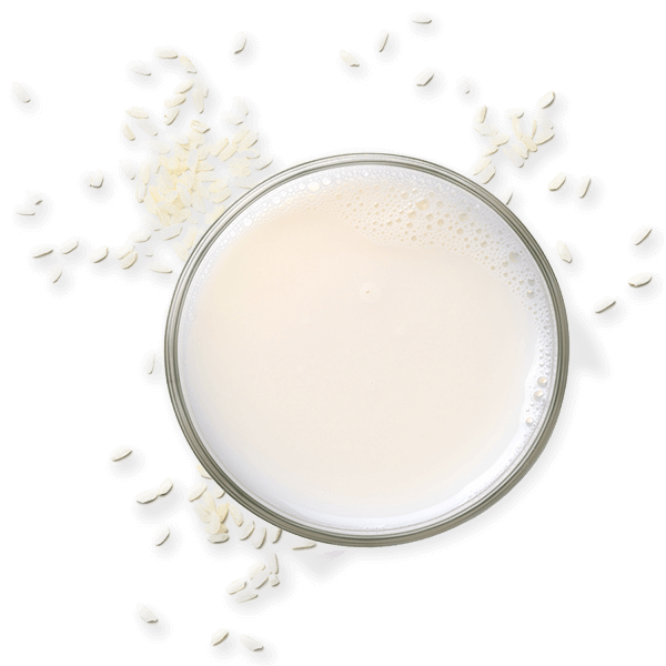 RICE MILK.png RICE MILK