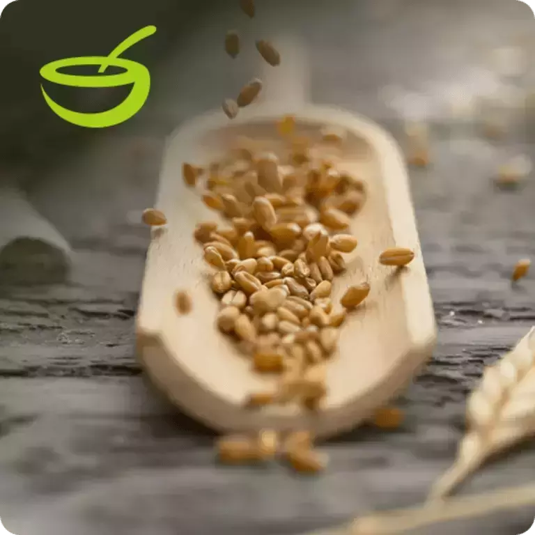 cereal