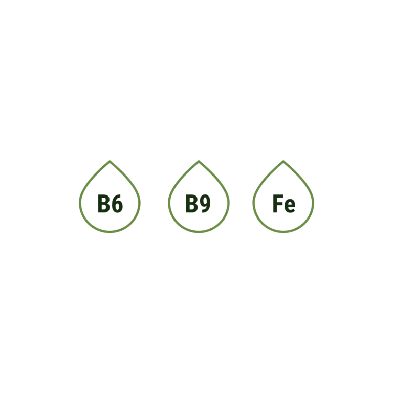 Pack 6