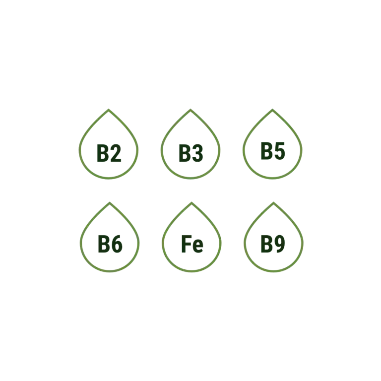 Pack 7