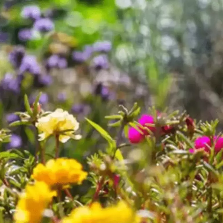uk_nbc_beetobowl-beegarden_gardenvisual_001.png