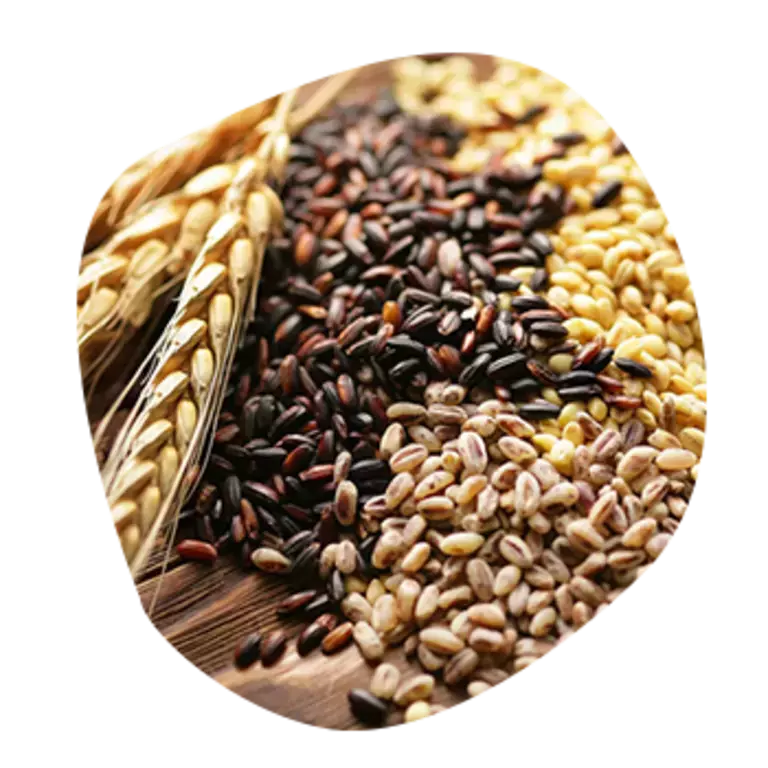 whole grainS