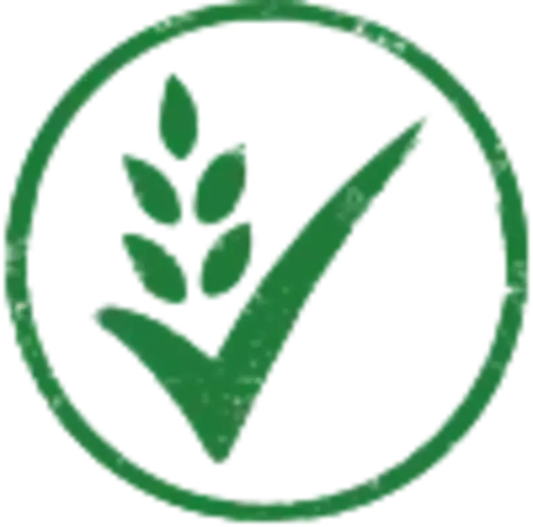 logo (1).png