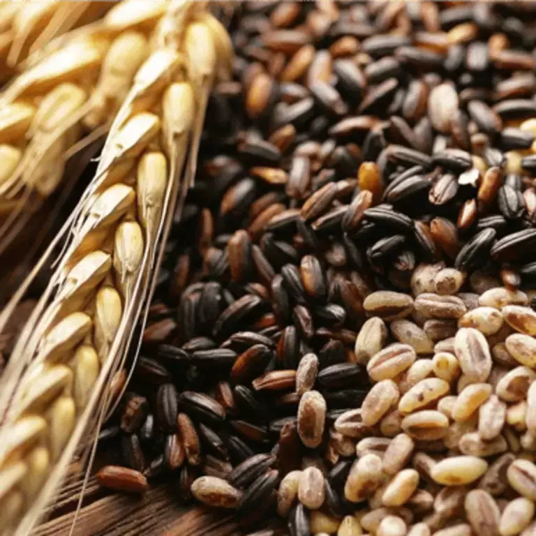 ธัญพืชเต็มเมล็ด คืออะไรกันแน่?