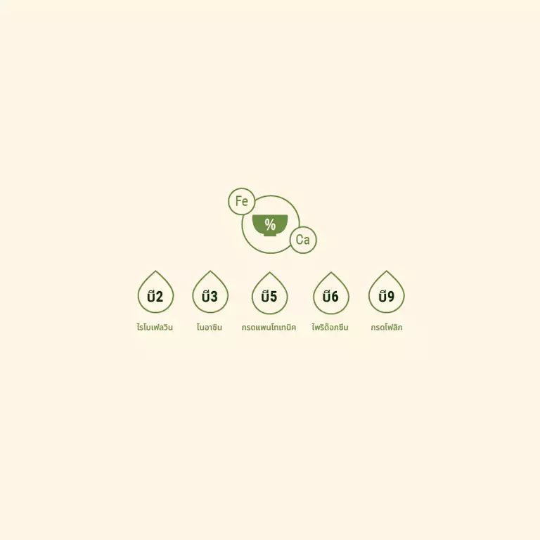 การสนับสนุนทางโภชนาการ