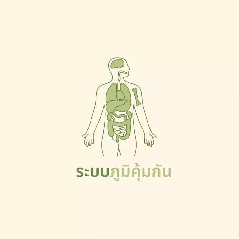 ระบบภูมิคุ้มกัน