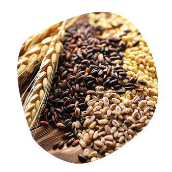 WHOLEGRAIN_2 (1).png tam tahıllar