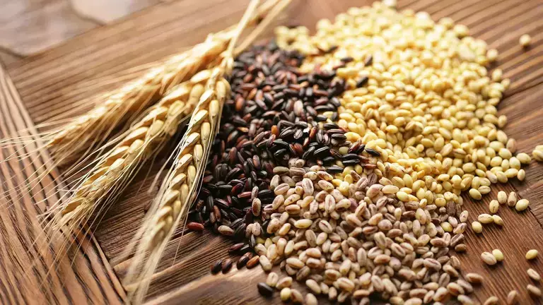article_switching_to_wholegrain_2048x1152_01