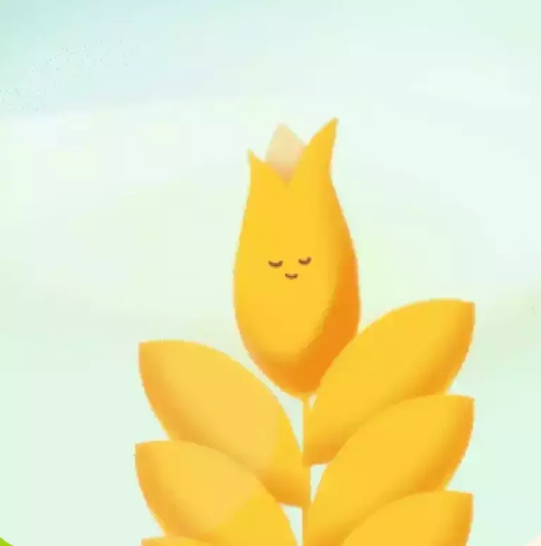 Whole-Grain_2.PNG