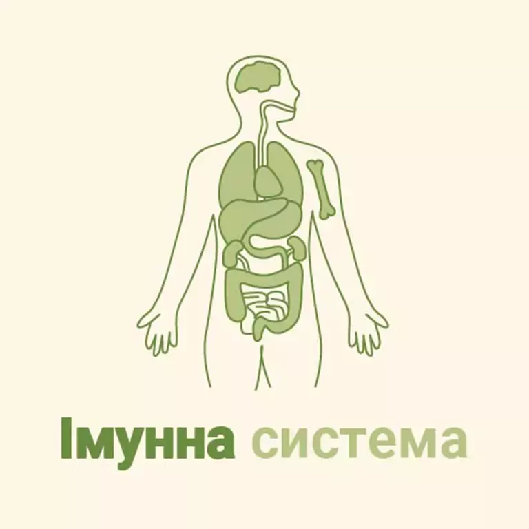 immune_system