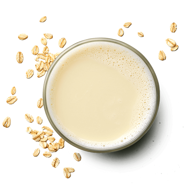 OAT DRINKS.png OAT DRINKS
