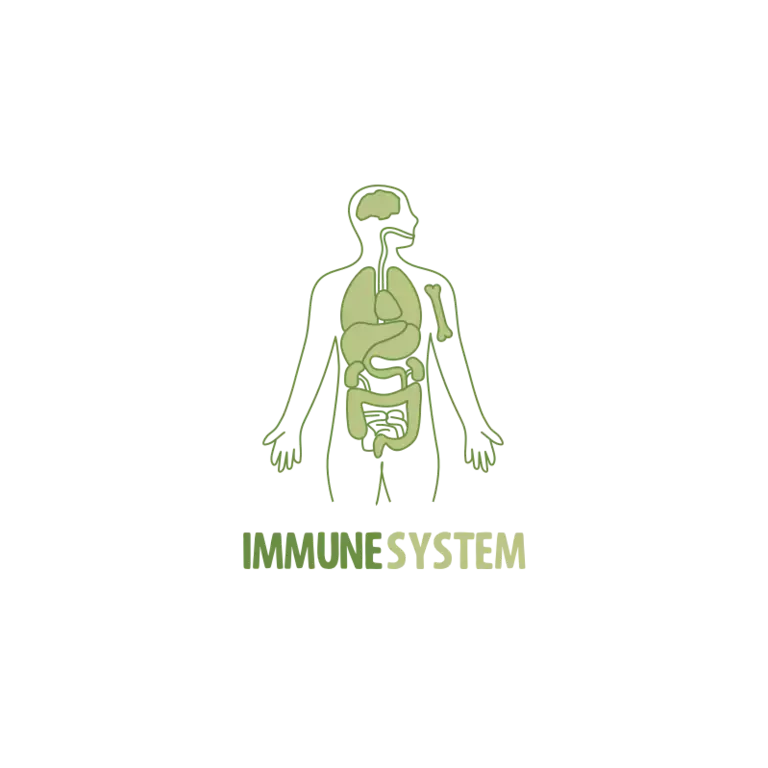 So what is your immune system and what does it do?