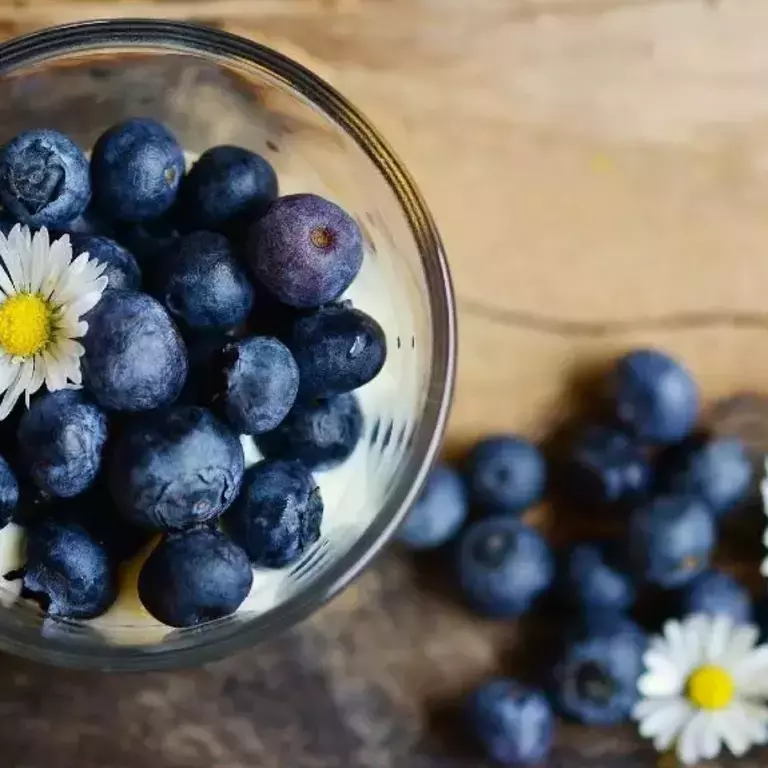 BLUEBERRIES