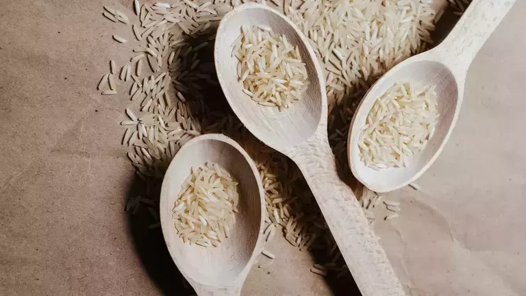 rice