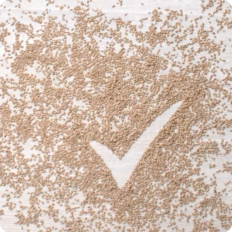 Benefits of Wholegrain Nutritious