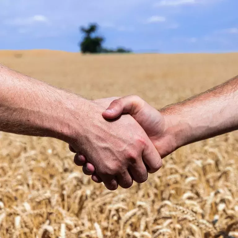 Two hand shaking in a field