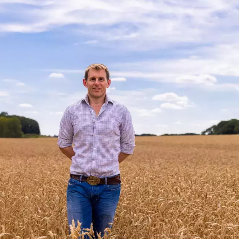 Ian Matts Wheat Plan in Field