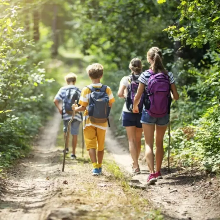 Family walking through woods