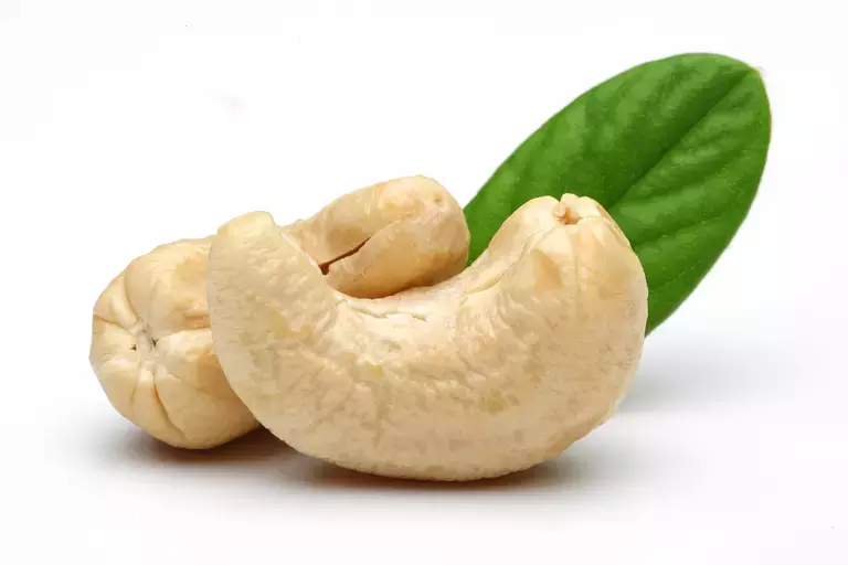 Cashew