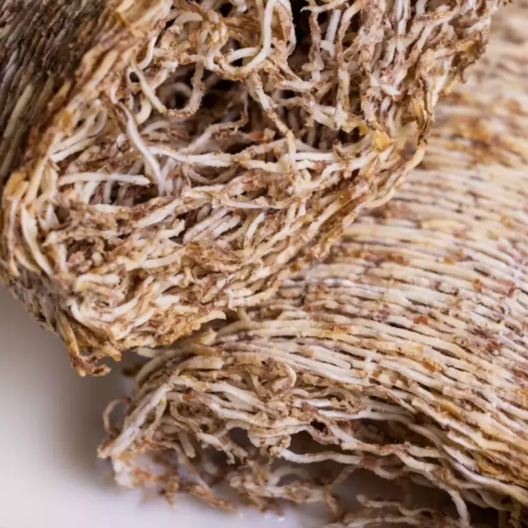 Shredded Wheat close up