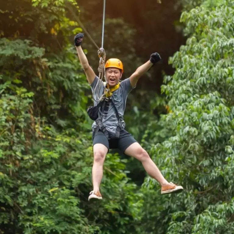 Man zip-lining through a forest