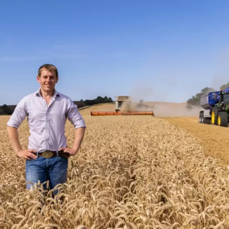 Farmer in wheat field